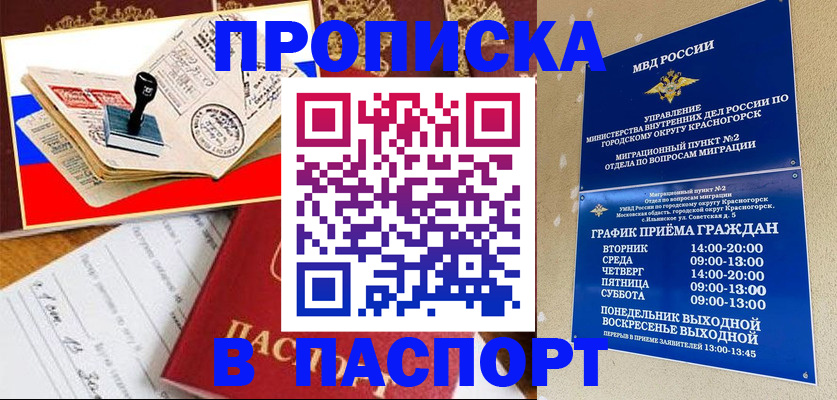 прописка паспорт в Фрязино